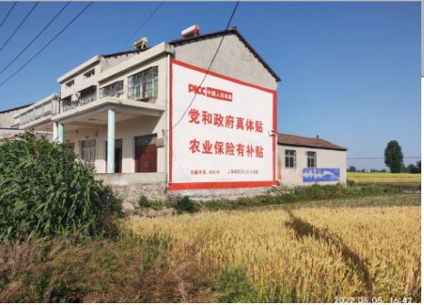 涡阳墙体广告
