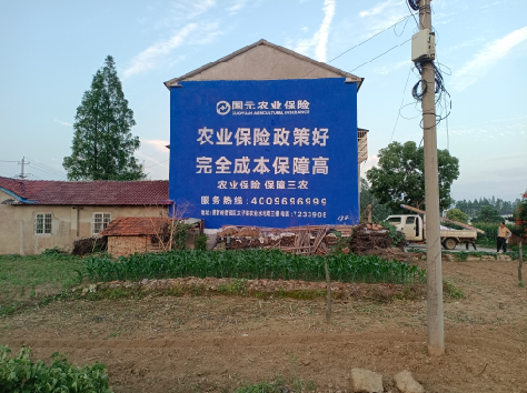 涡阳墙体广告为何受追捧?